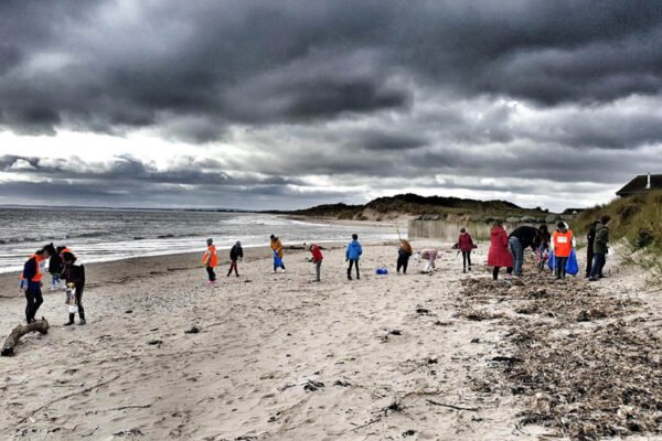 Local beaches retain Blue Flag and Green Coast status