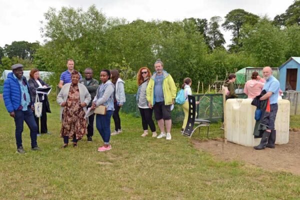Allotments to bloom again following Council intervention