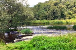 Public Invited to Join New Boyne River Catchment Water Quality Forum