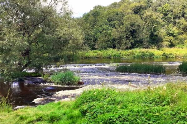 Public Invited to Join New Boyne River Catchment Water Quality Forum