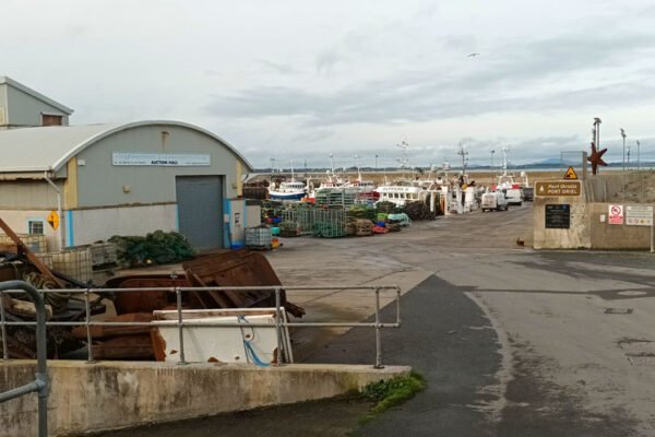 European Commission approves €1m scheme to support Irish fisheries cooperatives