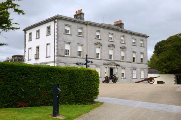 Drogheda Buzz: From Artisan Treats to Pawsitive Community Action This August