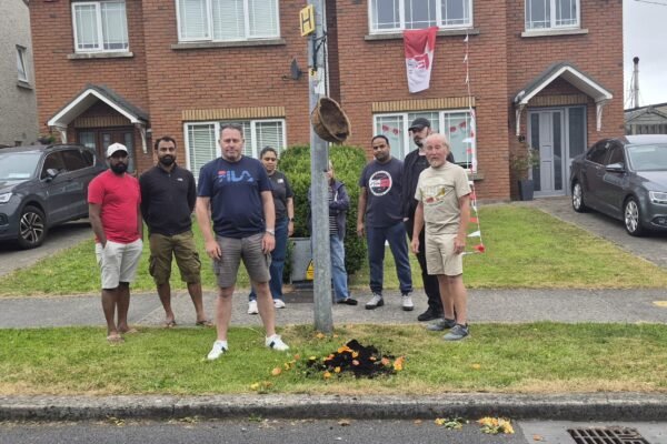 Damaged hanging flower baskets in Rose Hall, Drogheda, following Sunday night vandalism