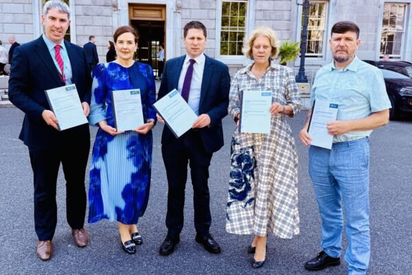 Louth TD Paula Butterly at the launch of the domestic violence report in July 2026