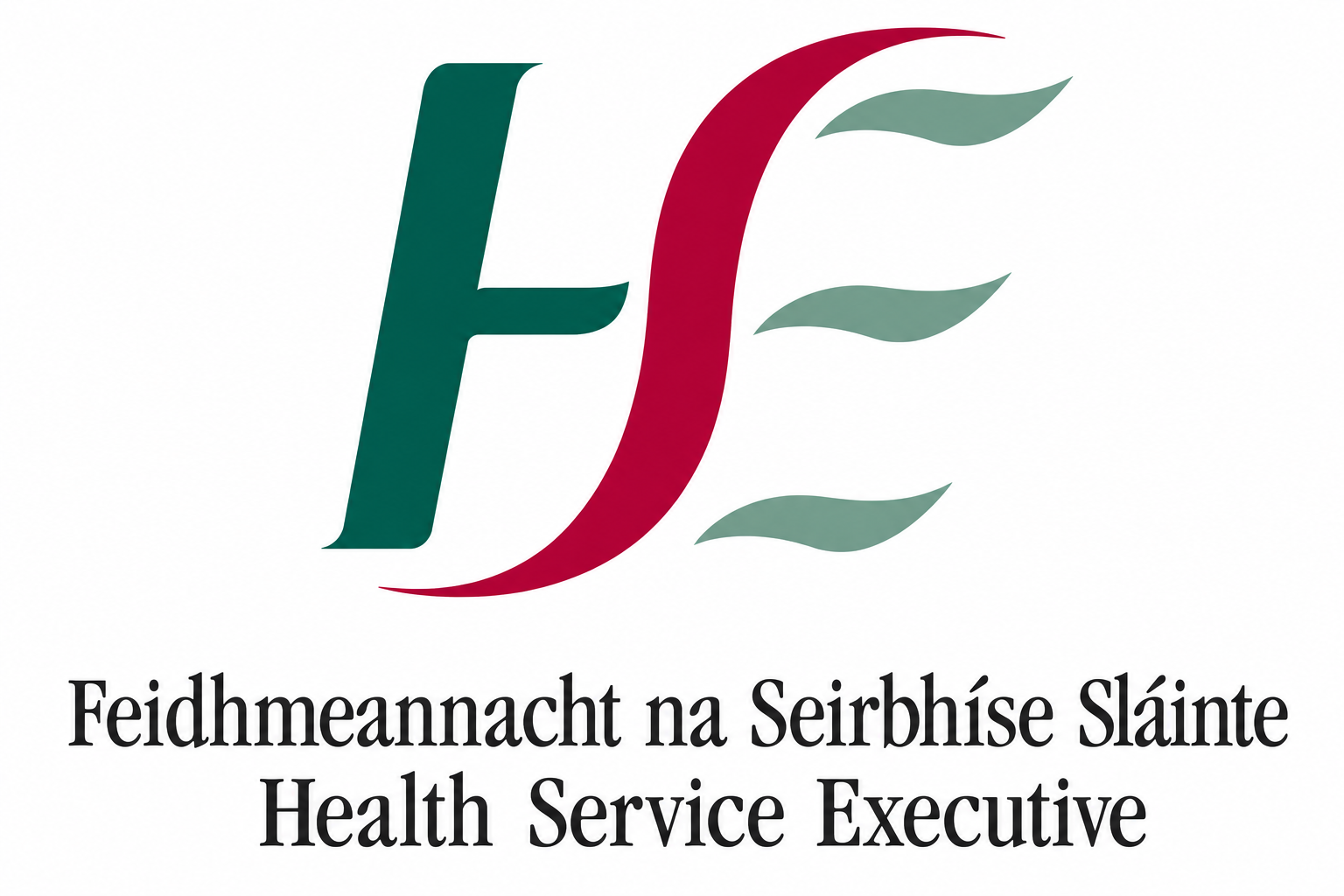 Health Service Executive HSE logo