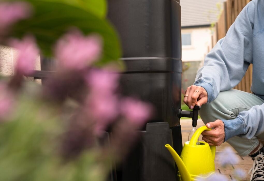 Person filling a watering can from a domestic water butt