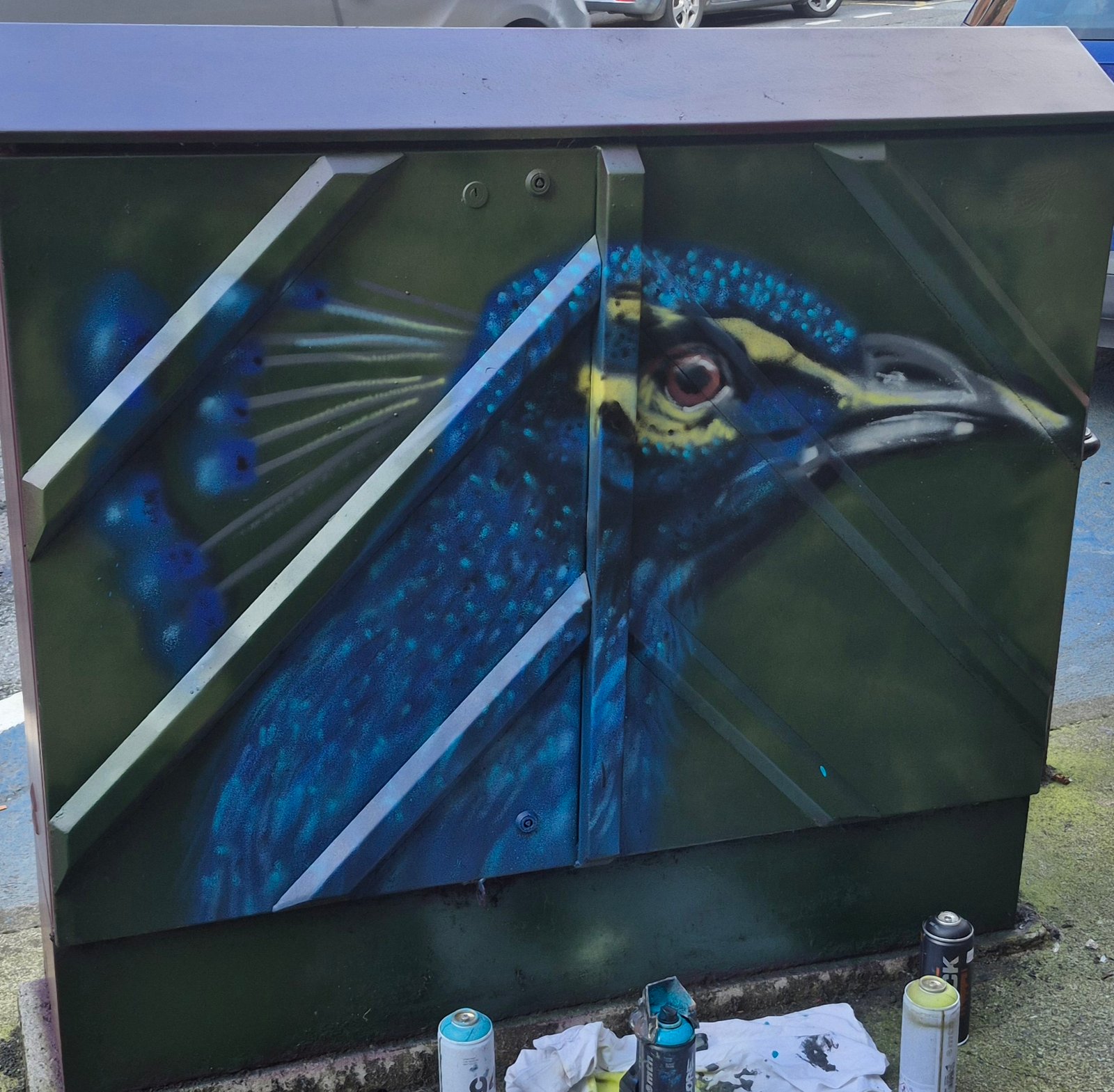 Peacock artwork painted on an electrical box in Drogheda town centre
