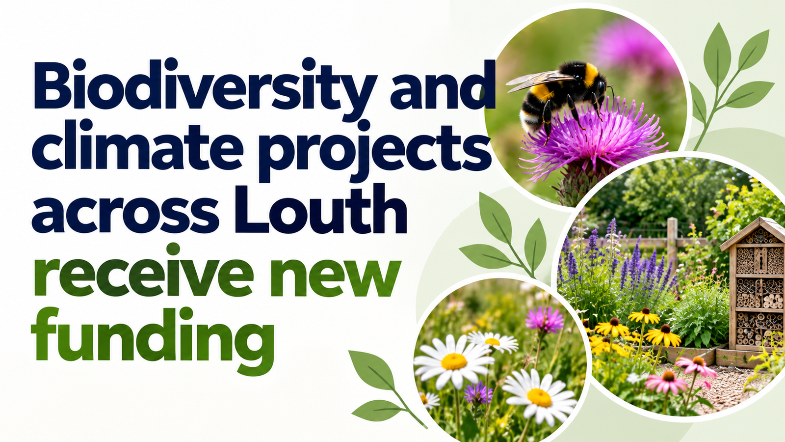 Biodiversity Funding for Louth Projects